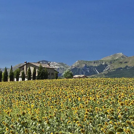 Il Casolare E Il Fienile By Interhome Feriehus San Girolamo di Sopra